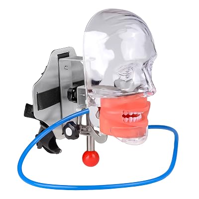 Dental Fix on Chair Style Plastic Manikin Simulator Phantom Head Model with Typodont 28Pcs Teeth 1:1 High Emulation 360-Degree Adjustable Dentist Educational Teaching Model Practical Demonstration