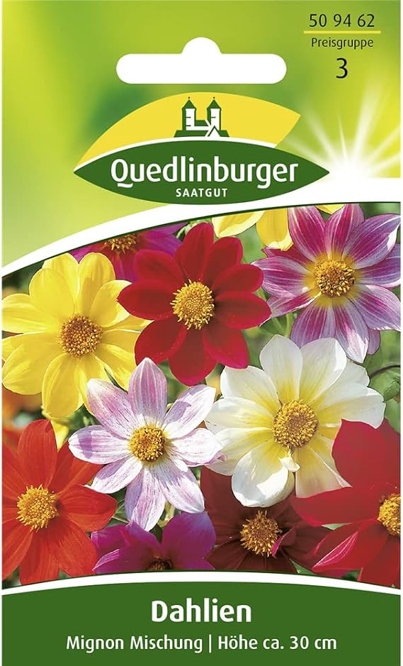 Dahlia Mignon Mix