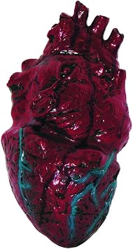 PMU Fake Heart - Bloody Heart Body Parts Halloween Decoration | Realistic anatomy heart, Classroom model, Halloween prop, Party decoration