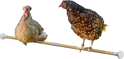 Omlet Chicken Perch | Enhance Your Outdoor Chickens Run with a Fun Accessory | Naturally Weather Resistant Perch with an Innovative Bracket Design | Eucalyptus Wood | 6ft