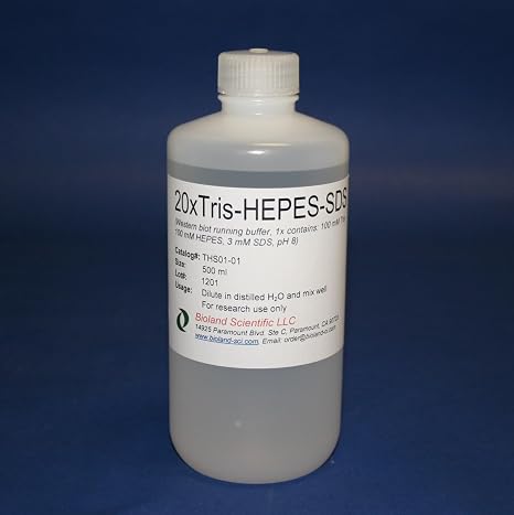 10x Tris-HEPES-SDS Running Buffer (500 ML)