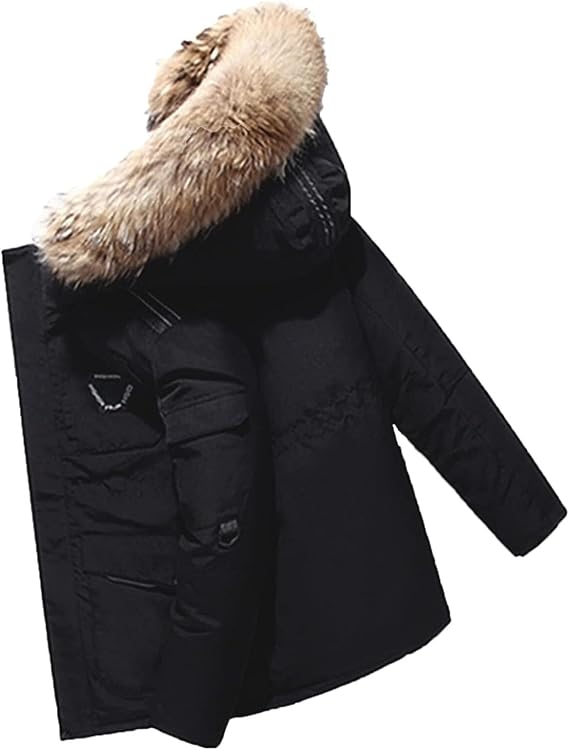 Men's Down Jacket Big Goose Autumn And Winter Thickened Coat Canada Style Warm Snow Coat Jacket With Hood,S-2XL(Noir,M)