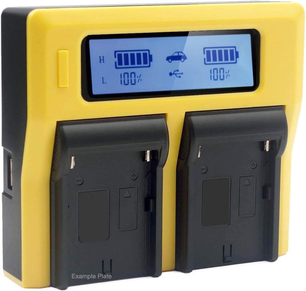 PATONA LCD Dual Charger - Compatible with Sony NP-FZ100 battery