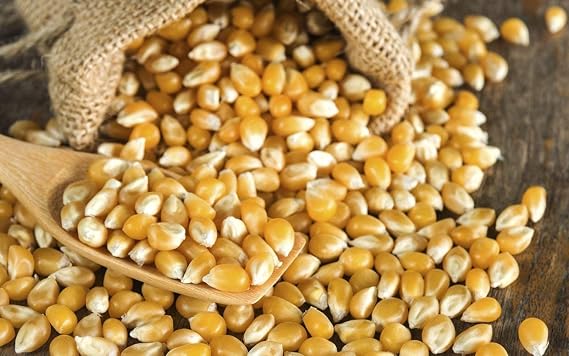 Popping Corn 500g - Popcorn Kernels for Popcorn Machine Maker or Oil Pan Popped – Add Your Flavouring / Seasoning – Perfect Cinema Style Movie Night Homemade Pop Corn - PURIMA - 500g Bulk Packaging