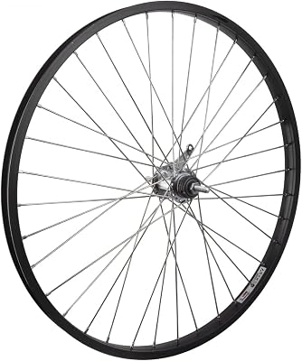 Wheel Rear 26 x 1.75 Black Alloy Cruiser, Shimano E110 Coaster Hub, Bolt On, 12g SS Spokes, 36H