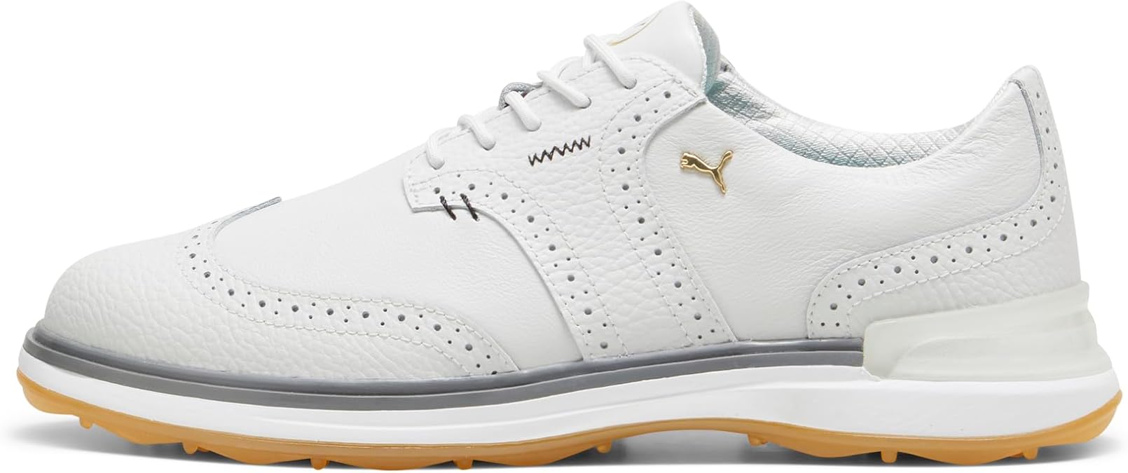 Puma Golf Men's Avant Sneaker, Feather Gray-Slate Gray, 12