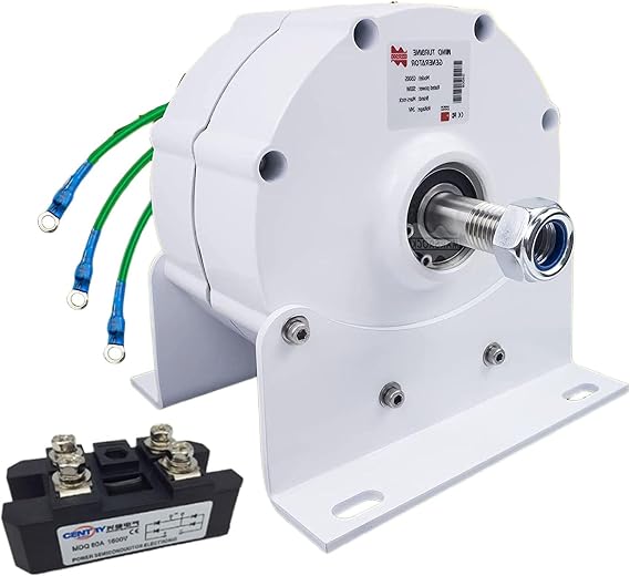 600W Three-Phase Alternator 12V 24V 48V DC 12000W Permanent Magnet Electric Motor Generator DIY for Wind Turbine PMA,Singleaxis24V