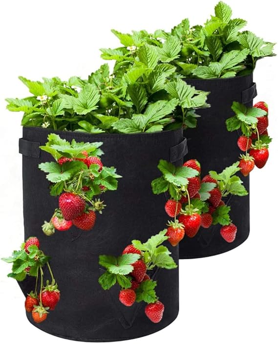 Strawberry Grow Bags, 2 Pack Strawberry Planter with Holes Grow Pockets, Breathable Non-Woven Fabric Reinforce Handle Plant Grow Bag for Garden Strawberries, Herbs, Flowers (8 Holes - 10 Gallon)