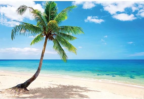 12x8ft Summer Ocean Tropical Beach Backdrop Hawaiian Luau Party Sea Sailor Beach Birthday Bridal Shower Photography Background Sandbeach Palm Tree Wedding Baby Shower YouTube Photo Props