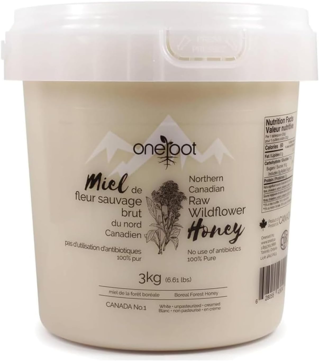 OneRoot - Wild Flower Raw Honey from Northern Boreal Forest, Canada - 6.61 lbs