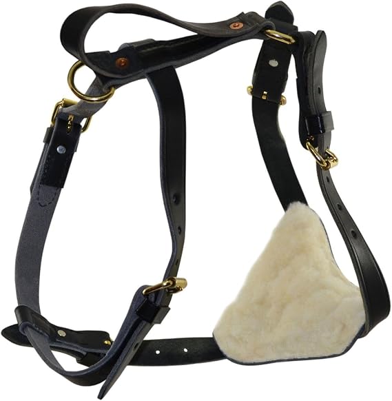 Ray Allen Mfg Signature K9 Biothane Multi-Function Harness, Large, Black