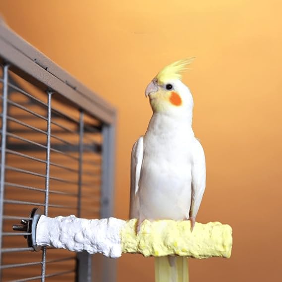 Bird Perches for Parrots-Cuttlebone Calcium Perch Standing Cuttlebone Holder for Birds Cage Accessories Color Randomly (Small)