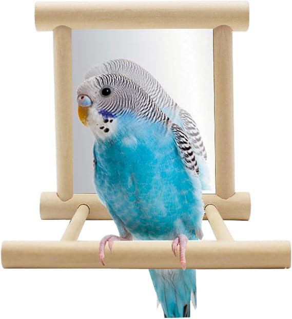 Hypeety Bird Mirror with Perch Parrot Swing Hanging Toy for Small Birds | Natural wooden mirror with stand perch, easy to hang with 2 hooks, for parakeet/cockatiel/conure/budgie/finch/lovebird