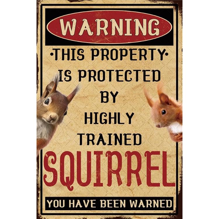 Squirrel Sign Funny Vintage Metal Tin Sign Squirrel Gifts for Squirrel Lovers Beware of Squirrel Decor For Yard Outside 8x12 Inch