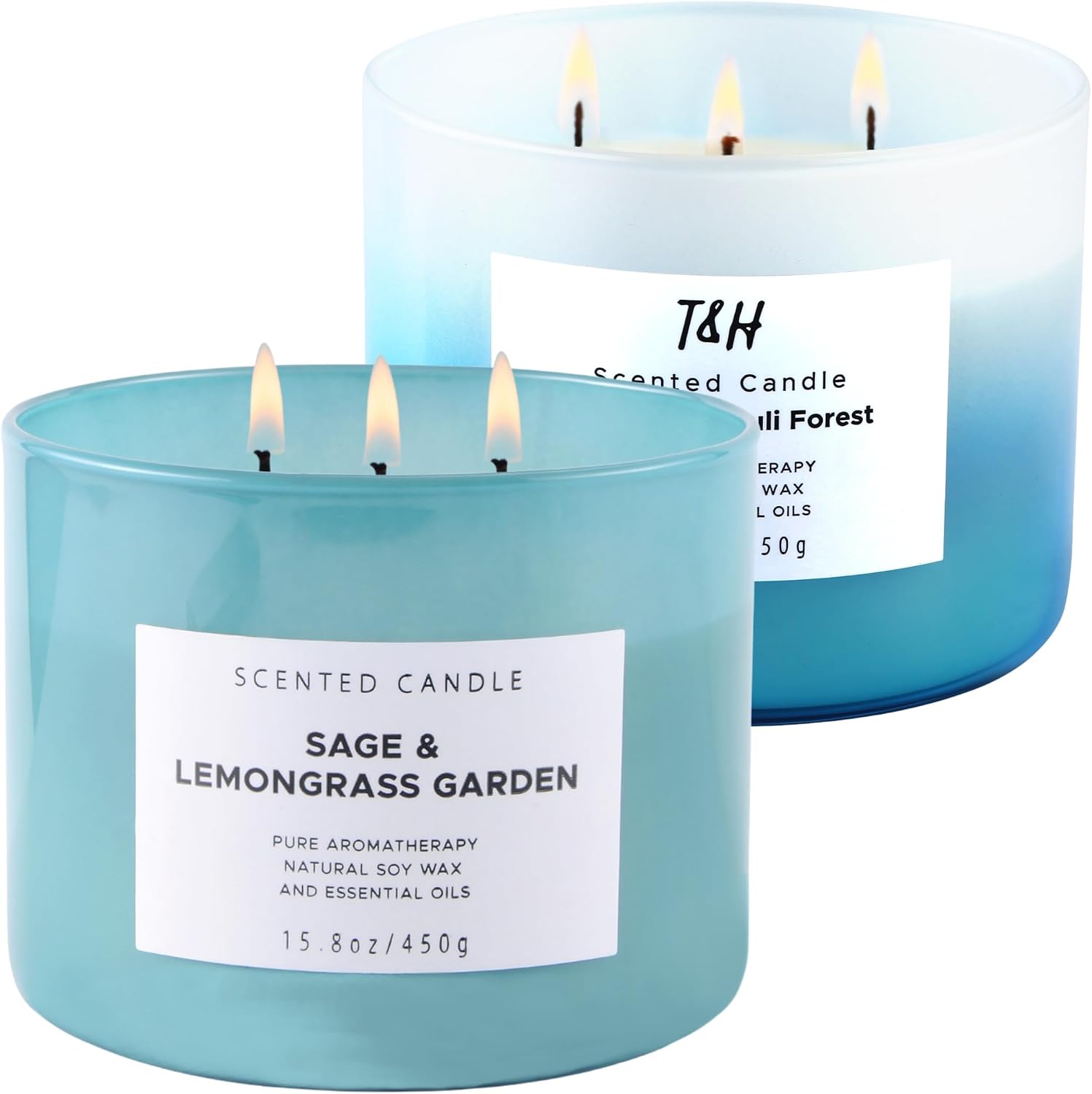 Sage Lemongrass Garden and Citrus Patchouli Forest 3 Wick Scented Candles Bundle | Aromatherapy Soy Candles for Women & Men, Large Scented Candles for Home Long Burning Candle Set of 2 x 15.8 Oz