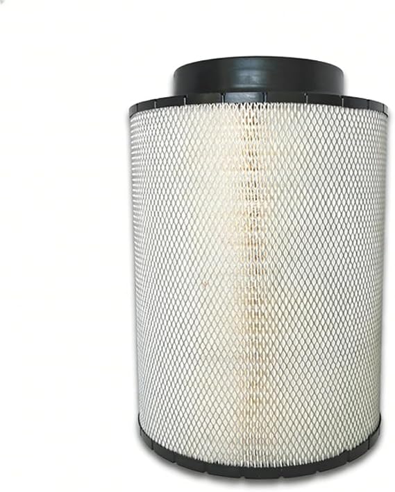 Air Filter 1001246286 for WEICHAI