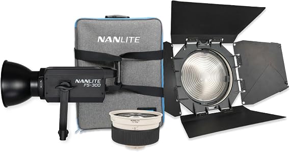 Nanlite FS-300 Daylight AC LED Monolight Bundle