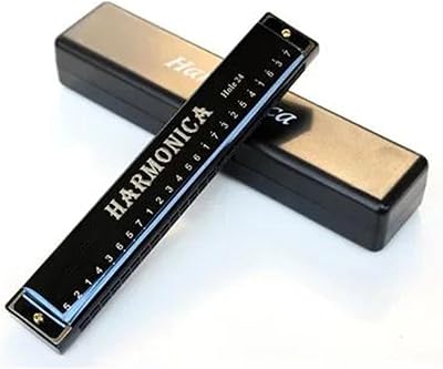 24 Hole Harmonica Metal Organ BeginnersBlack