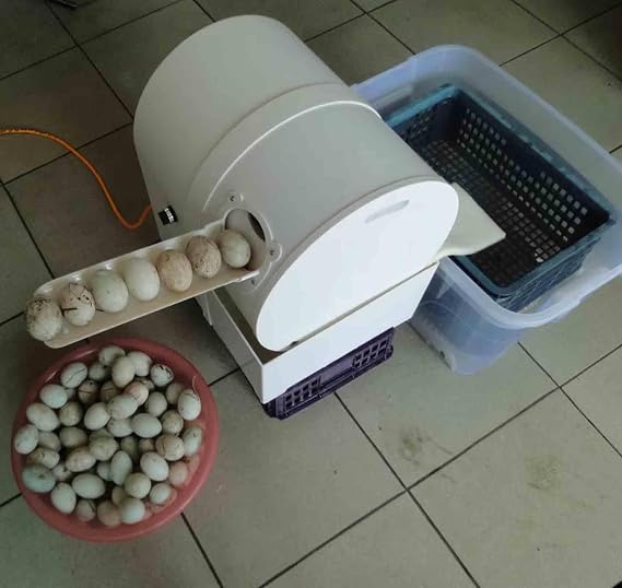 Poultry Egg Washing Machine and Cleaner,Small Egg Washing Machine,Automatic Egg Washing Machine,Surface Cleaning Machine for Eggs