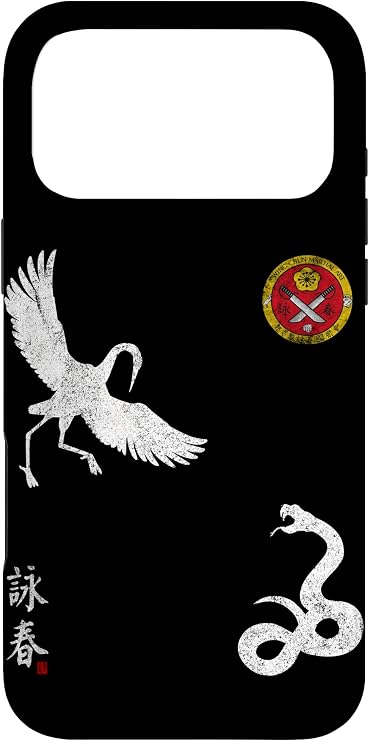Wing Chun Tsun Martial Art Sword Gym Train Vintage Case for iPhone 17 Pro Max