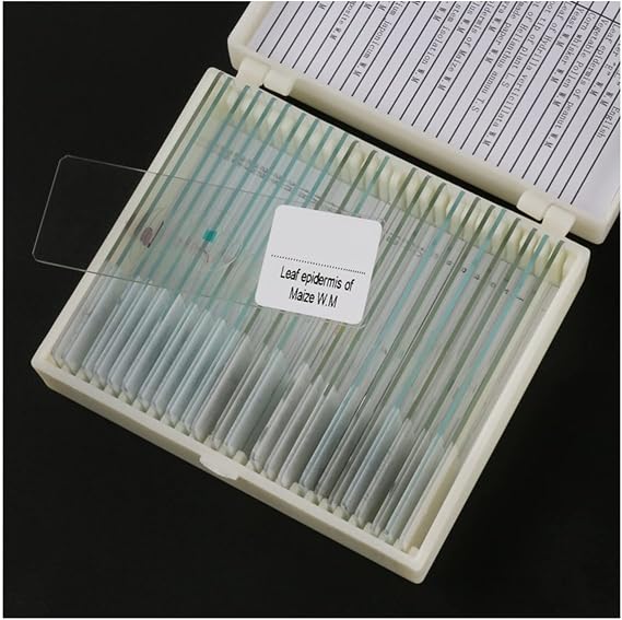 Microscope Kit 25pcs/Set Biological Microscope Glass Slides Microscope Lens Adapters (Color : 15pcs)