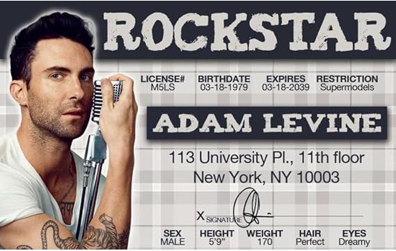 Signs 4 Fun Parody ID | Adam Levine Drivers License | Fake ID Novelty Card | Collectible Trading Card Drivers License | Novelty Gift for Holidays | Made in The USA