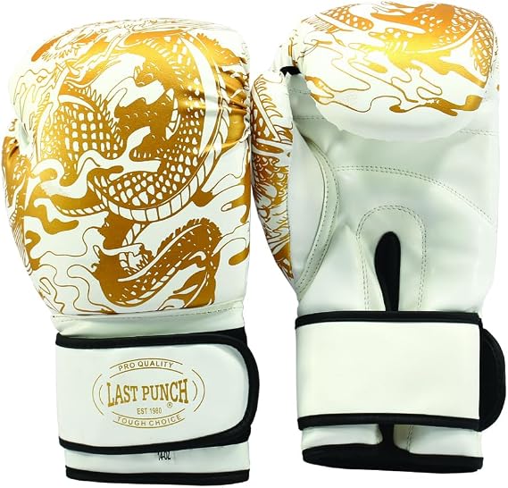 Pro Boxing Gloves