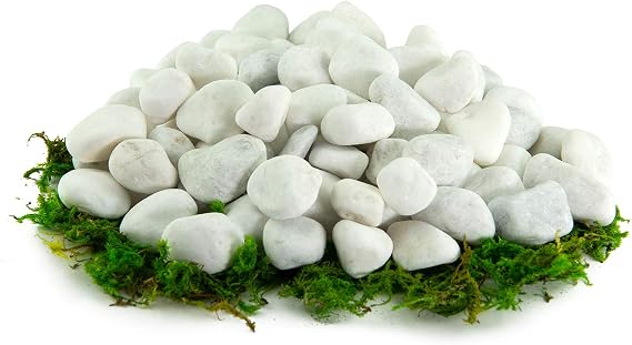 Southwest Boulder & Stone Porcelain White Pebbles | 20 lbs | Natural Rocks, White Stones for Potted Plants, Gardening, Succulents, Aquariums, Terrariums, and More 1 Inch - 2 Inch