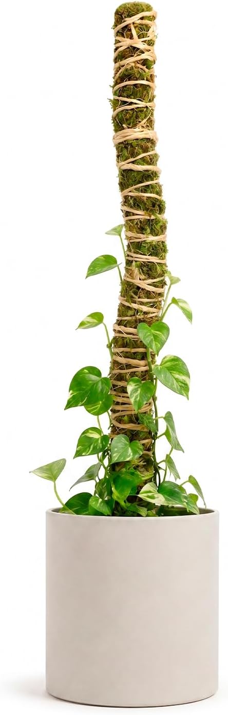 Mossify Bendable Moss Pole, 30'' Monstera