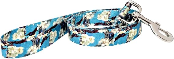 Fashion Dog Leash, 5-Feet, Van Gogh Almond Blossom, Turquoise/Cream