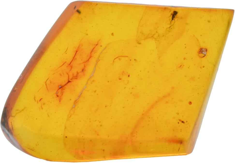 Baltic Amber with a Fly Insect - Natural stones - 4.2g - Collector Item - Amber