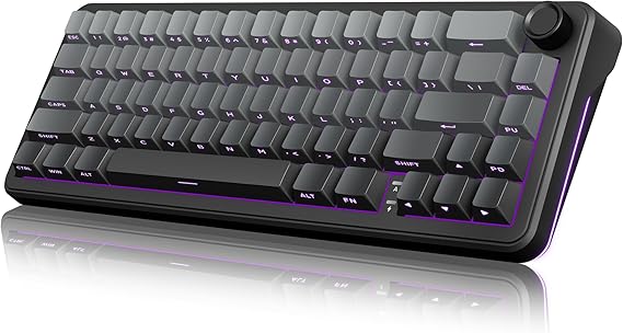 RedThunder K65 Wireless Mechanical Gaming Keyboard, Trip-Modes Connection, Gasket Custom Hot-Swap Keyboard, RGB Backlit, Pre-lubed Linear Switches, Side Engraved PBT Keycaps, Gradient Gray