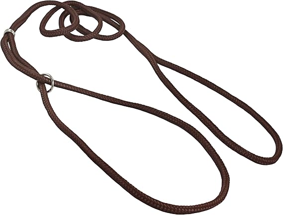 Dog Show Lead Braided Tubular Nylon 52" Long (Small: diam 1/4"(6mm), Brown)