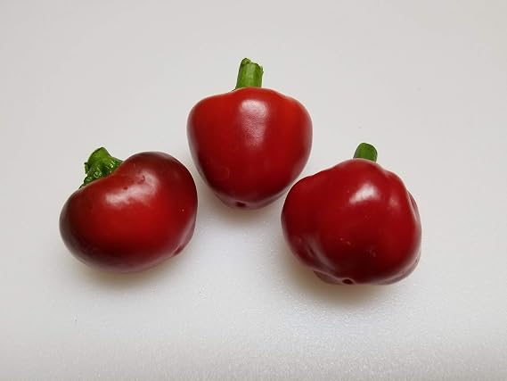 Calabrian Hot Pepper 10+ Seeds
