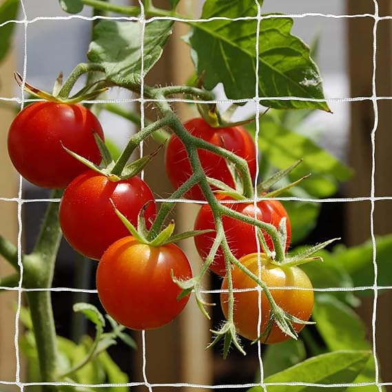 Tcamp Heavy-Duty Polyester Plant Trellis Netting 5 x 30ft (1 Pack)