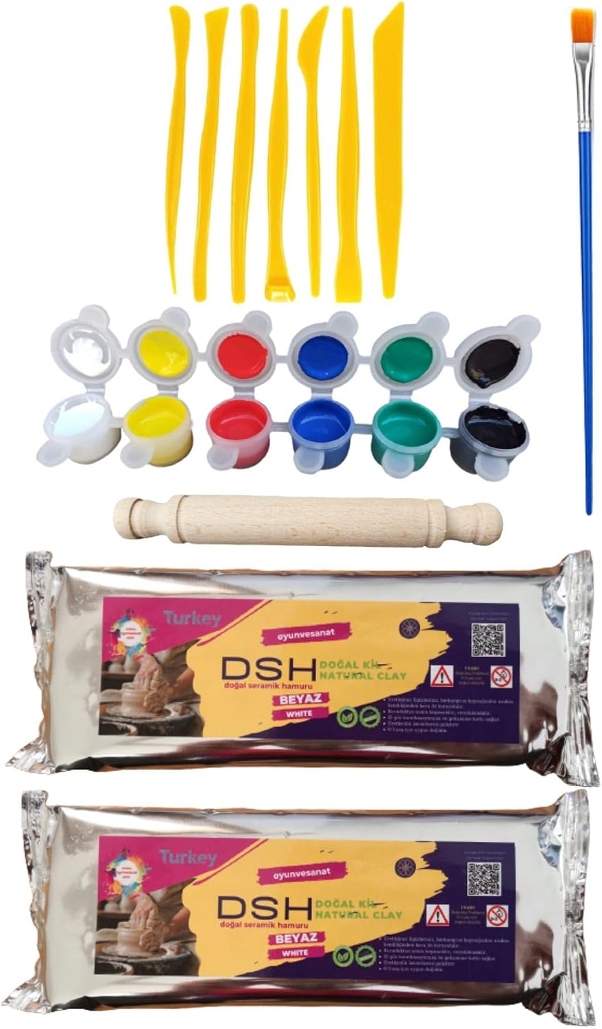 DSH Natural Ceramic Pulp 2 Ceramic Starter Set 6-7 Ebeşuar, 2 1000 Gr Clay Pulp and 6 Piece Paint and Brush and Roller white