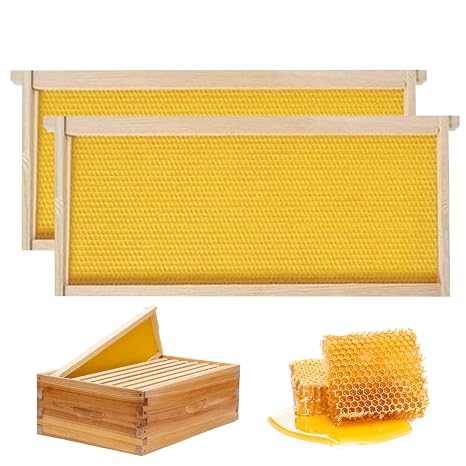 Bee Hive Frames and Wax Foundations 2Pcs 19.02x9.13x0.79 inch. Square Bee Frames with Wax Wood Beehive Yellow