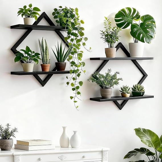 TourKing 2-Tier Floating Shelves for Wall,Wall Mounted Wooden Storage Display Shelf,Wall Art for Living Room Bedroom Bathroom Kitchen Office Study Home