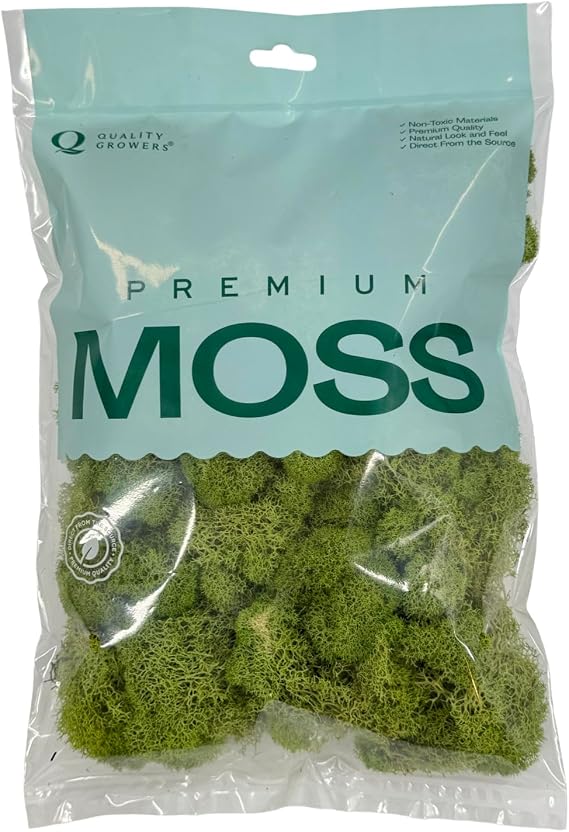 QG2060 Preserved Reindeer Moss, 108.5 Cubic Inch, Spring Green