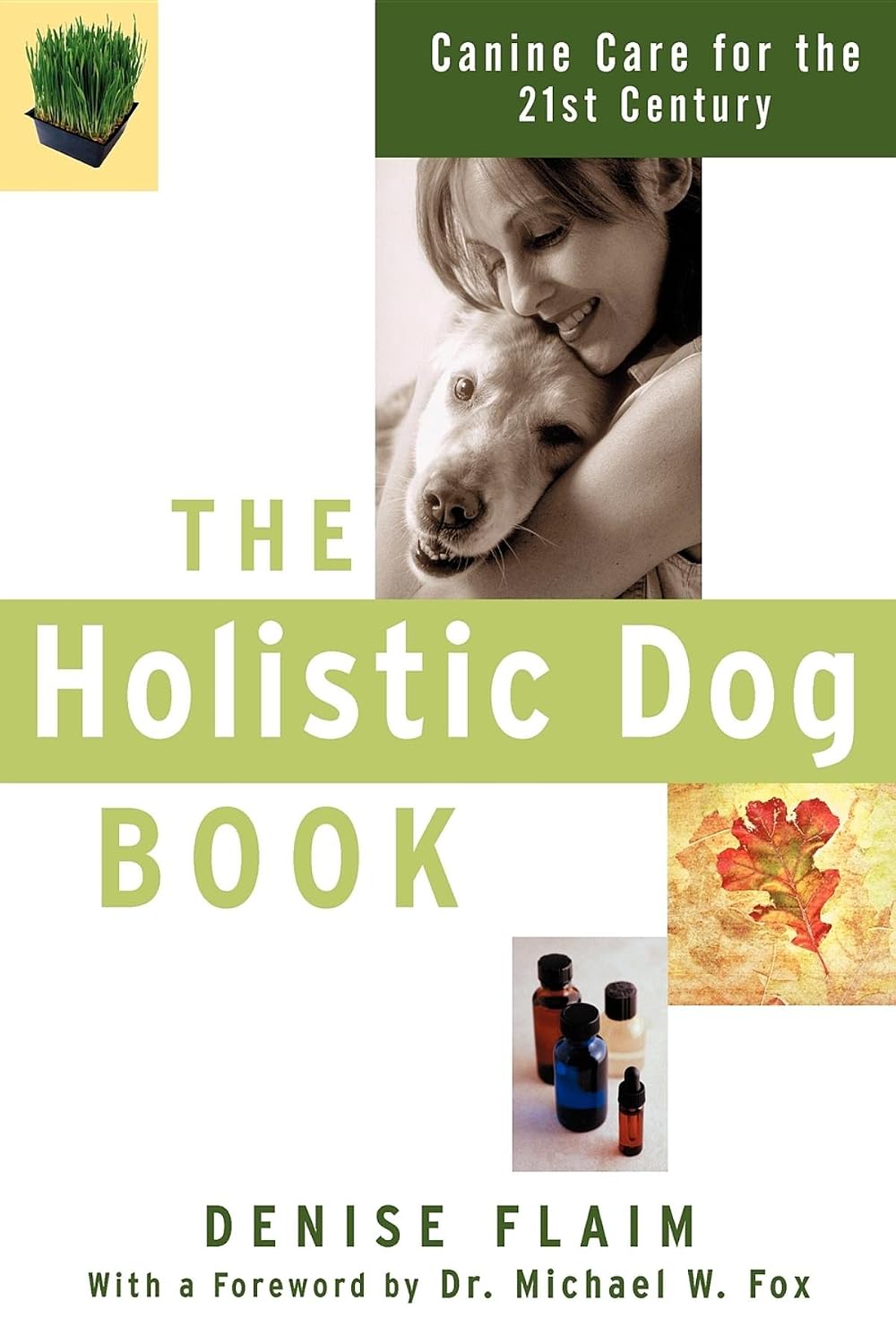 The Holistic Dog Book: Canine Care for the 21st Century Paperback – March 1, 2003