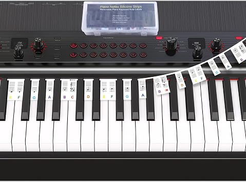 Piano Notes Guide Removable Silicone Piano Keyboard Note Labels for 88/76/61/54/49/37 Keyboard, Piano Note Strips Multi-Color Large Bold Letter for Beginners Kids, Reusable and  with Box