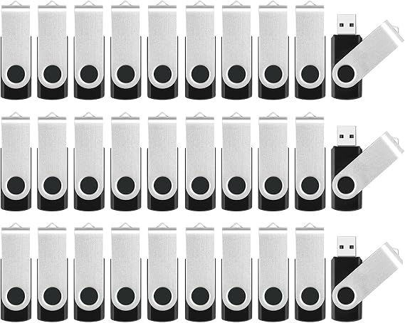 Bulk USB Flash Drives - 10 Pack 4GB Flash Drives and 10 Pack 256MB Flash Drives, Metal Swivel Memory Stick Jump Drives with LED Indicator, Memoria USB Stick Zip Drive Pendrive Data Storage and Backup