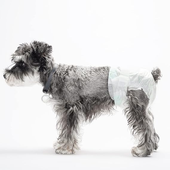 Dog Diapers Female, 30 PCS Disposable Dog Diapers for Different Sized Dogs, Absorbent with Wetness Indicator (XS)