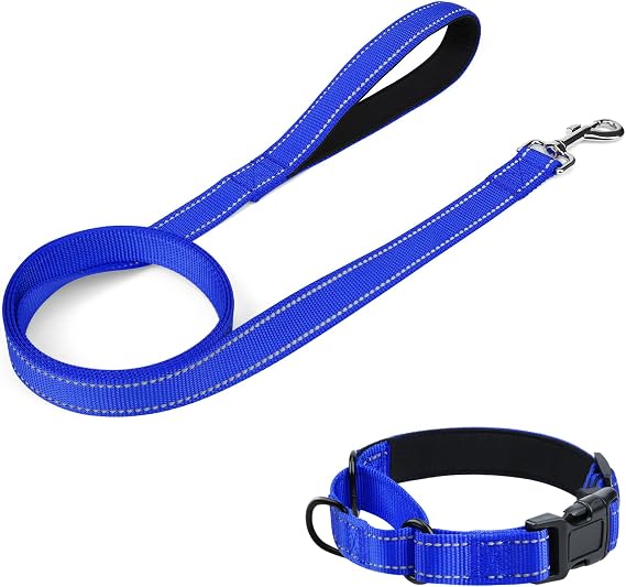 4FT1" Dog Leash and Collar Set, Reflective Soft Neoprene Martingale Collar, Royal Blue, 16"-20", 48" Long, 1" Wide