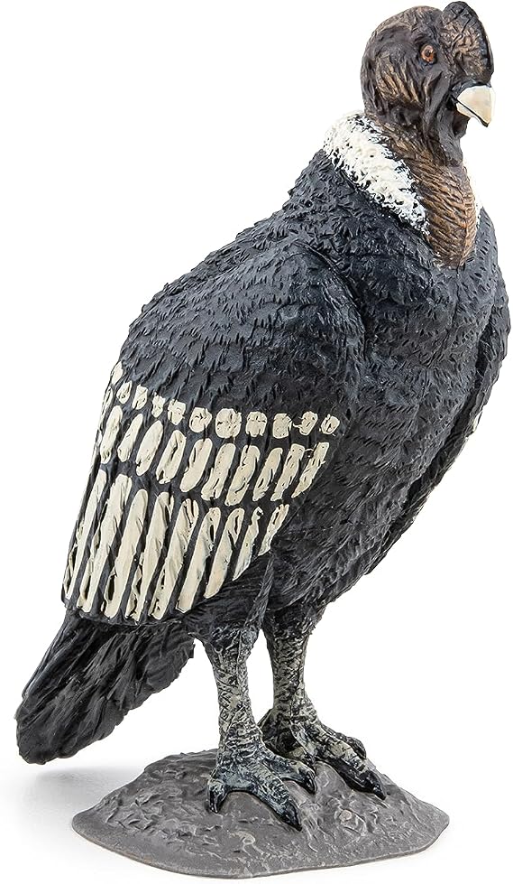 Papo - Realistic Condor Figure - Ages 3+ Wild Life Collection - Educational Play Birds of Prey - Gift Idea Toy for Girls and Boys