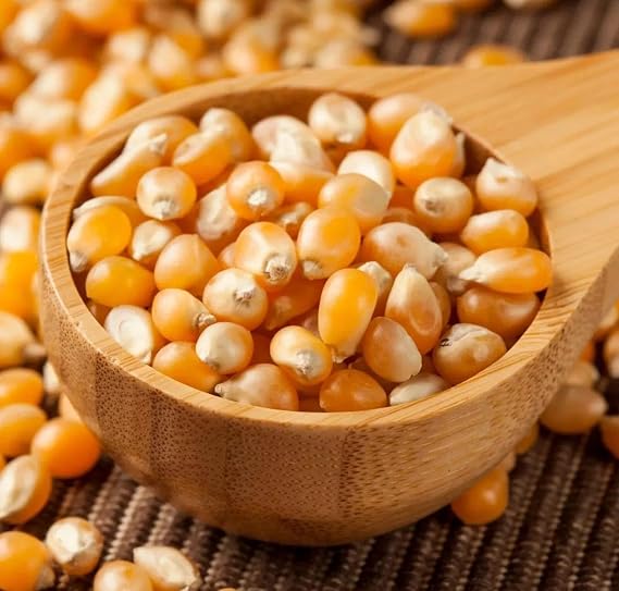 Popcorn Popping Corn Kernels - Popcorn 50g-1900g (450g)