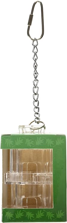 Paradise Toys Creative Foraging Systems+E487 CFS Foraging Box Feeder