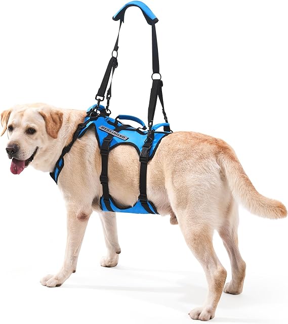 Dog Lift Harness for Large Dogs, Full Body Support Sling with Shoulder Strap and 3 Handles, Support Vest for Senior Dogs with Arthritis or Joint Issues, Help Up and Down Stairs, Blue, Large