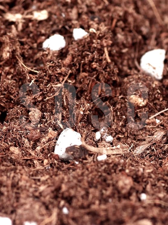 Substrate Mix Imported Peat Cocopeat Perlite Special Mix Potting Mortar Flower And Plant Soil 3 LT