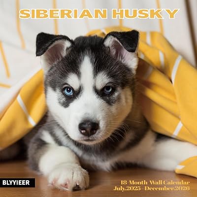 2025-2026 Wall Calendar,Siberian Husky Wall Calendar, 12 x 24 Open,Family Planner Calendar Organizer with Husky Images, for Dogs Lovers